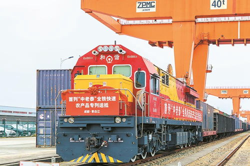 首列中老泰全鐵快速農(nóng)產(chǎn)品專列抵蓉，國(guó)際物流新動(dòng)脈全面打通